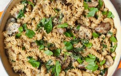 Creamy mushroom pasta