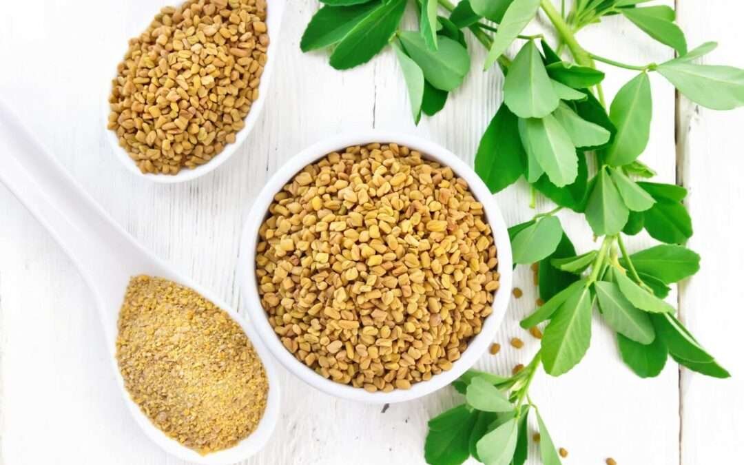 10 Best Fenugreek Substitutes in Cooking