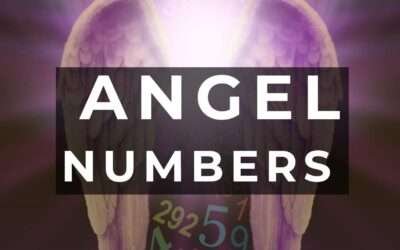 What are They and Why do I Keep Seeing Them?