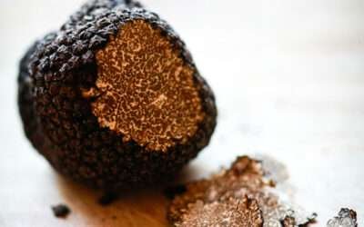 What are Truffles, What do they Taste Like, Price and more!