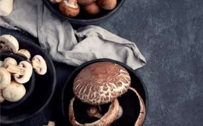 15 Best Edible Gourmet Mushrooms