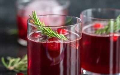 Cranberry Maple Rosemary Mocktail – Cook With Manali