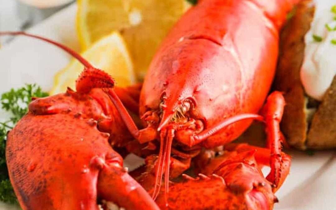 How to Cook Lobster – Spend With Pennies