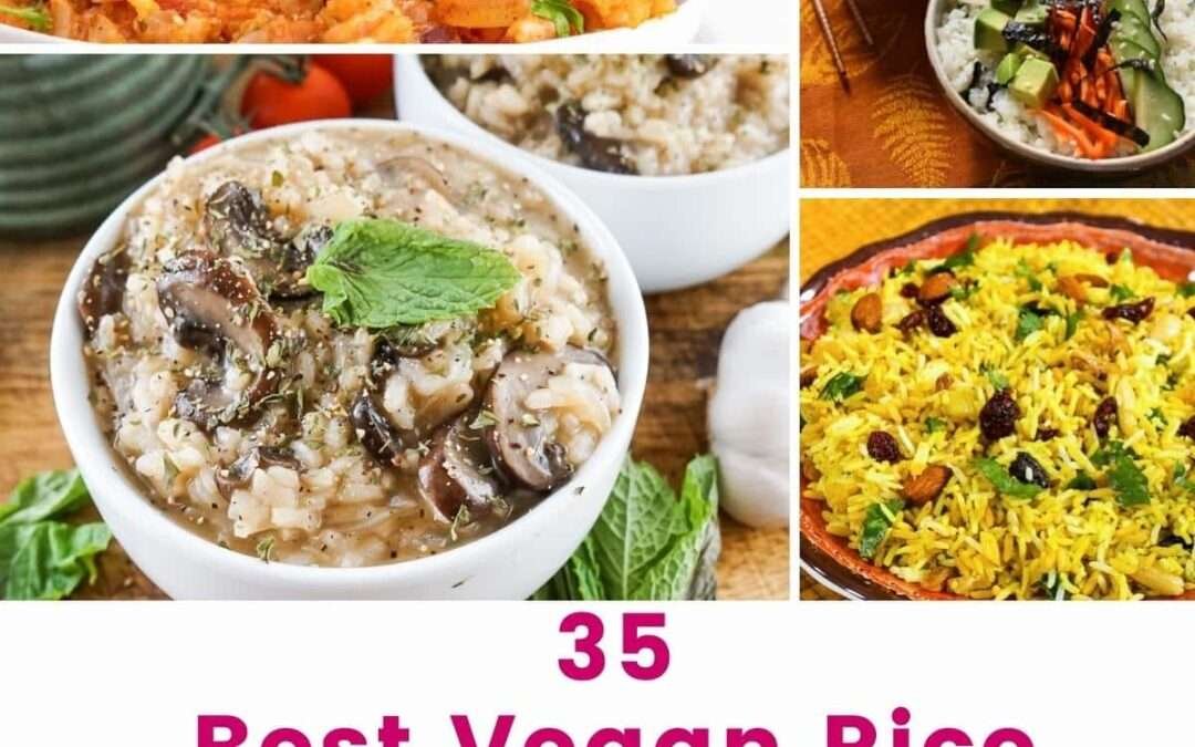 35 Best Vegan Rice Recipes