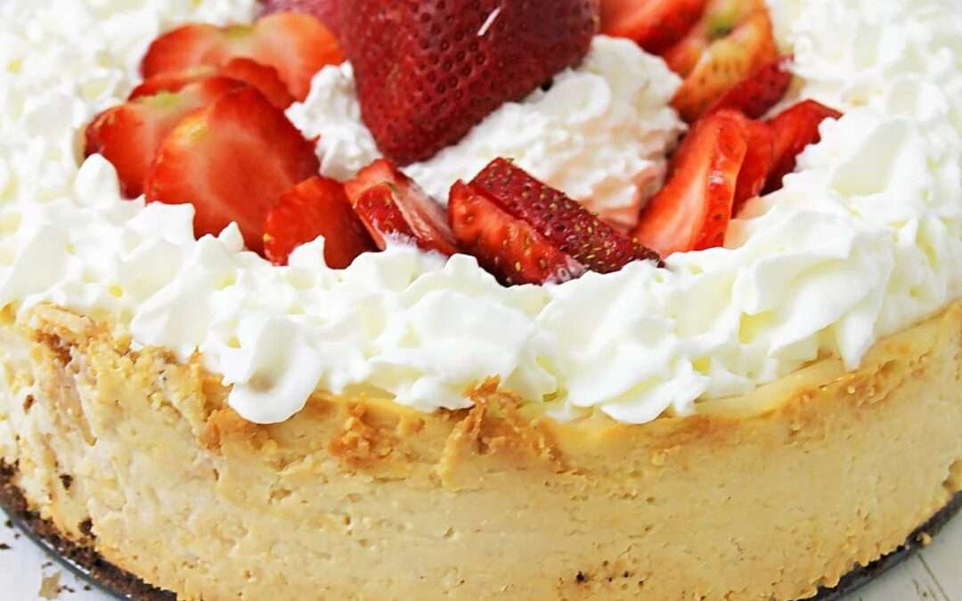 The BEST Vegan Cheesecake – Oh My Veggies
