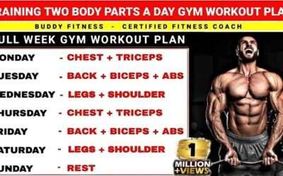 Two Body Parts A Day Workout Plan | Gym Workout | Two Body Parts Workout Schedule
