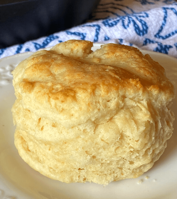 SOUTHERN HIGH RISE BISCUITS – The Southern Lady Cooks