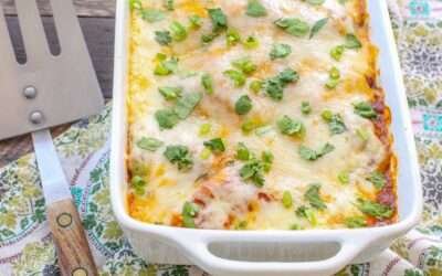 Pulled Pork Enchiladas