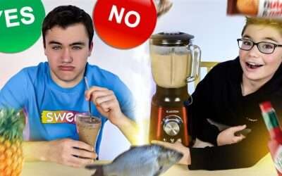 YES or NO Smoothie Tiktok Challenge – Les Pires Smoothies