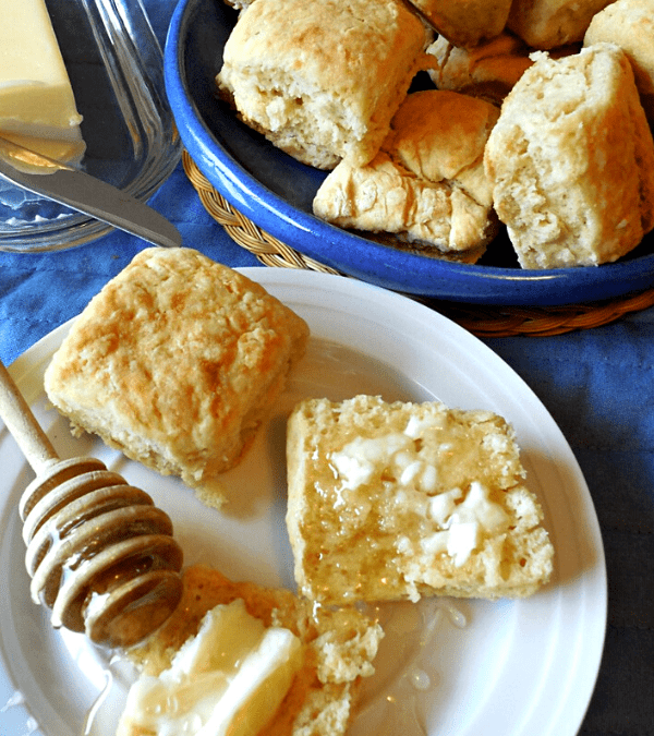 BEER BISCUITS – The Southern Lady Cooks