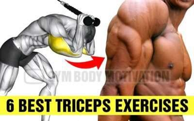 The Best Triceps Exercise for Mass – Gym Body Motivation