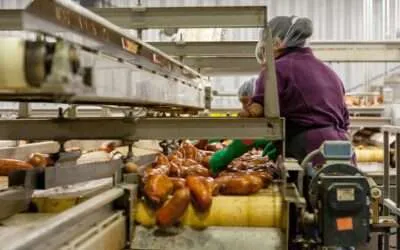 The Common Plague: Processed Foods