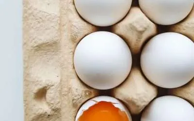 You Are Protein (And Why You Should Prioritize It)