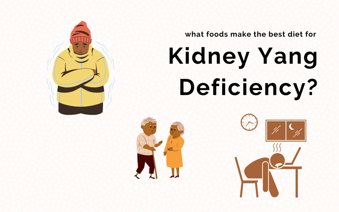 What Foods Make the Best Diet for Kidney Yang Deficiency?