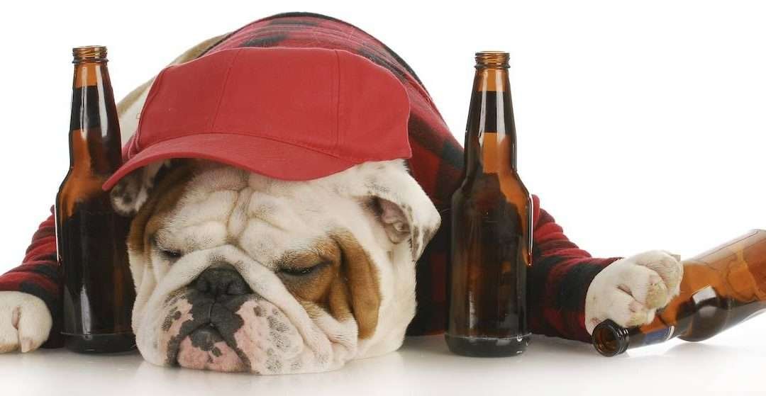 How to Cure a Hangover with Natural Remedies