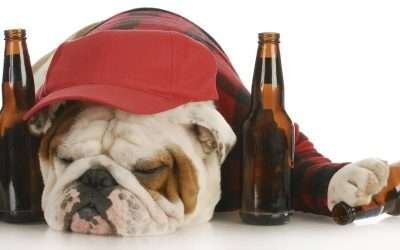 How to Cure a Hangover with Natural Remedies