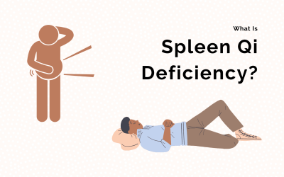 The Best Spleen Qi Deficiency Diet