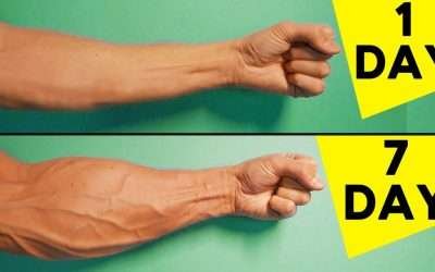 5 Best Exercises For Forearms | Home Workout