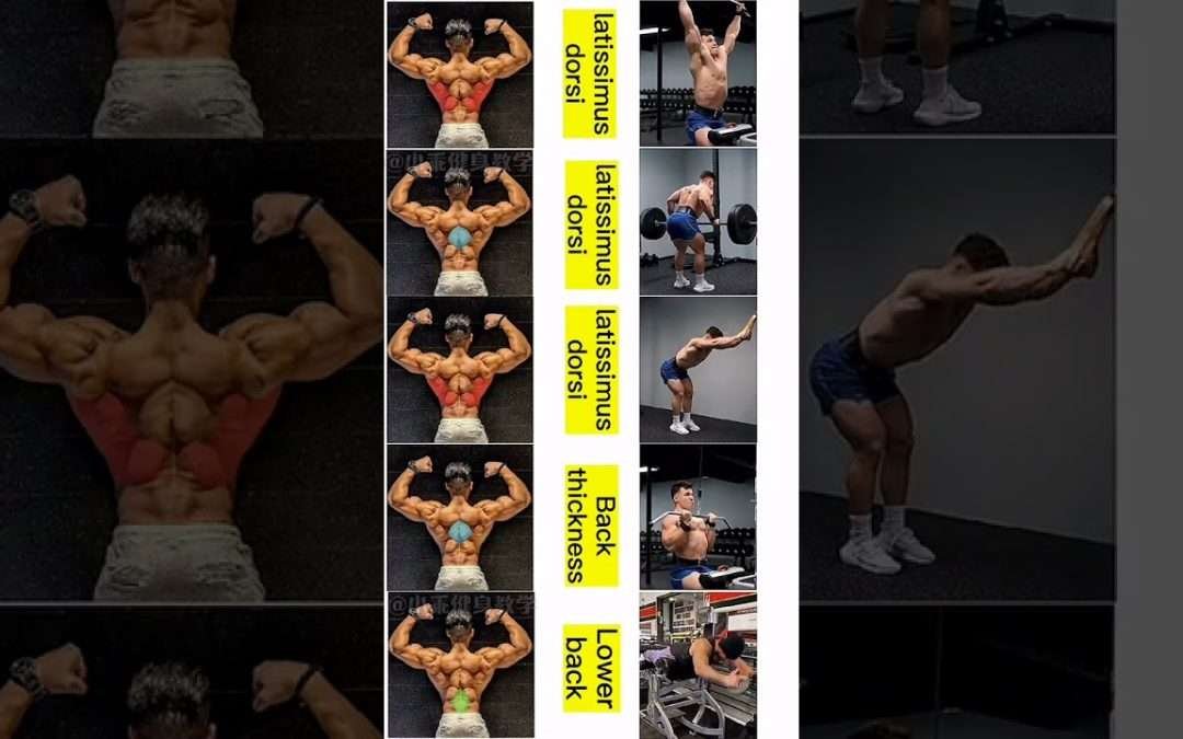 The PERFECT Back Workout (Sets and Reps Included) #shorts