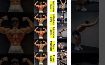 The PERFECT Back Workout (Sets and Reps Included) #shorts