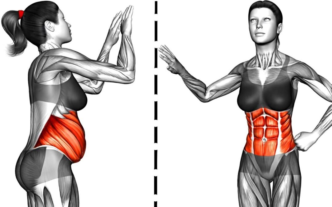 Standing Flabby Stomach Workout
