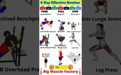 6 Day Effective Plan | Effective workout routine | Push, Pull & Legs workout | #workout