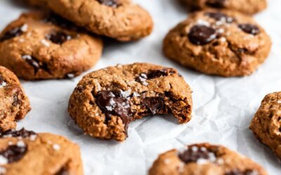 The Best Lactation Cookies for Nursing Mamas (vegan & gluten-free)