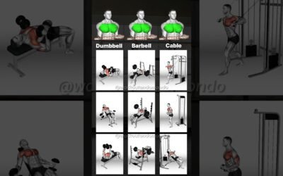 Chest Day: Maximize Gains with the Best Chest Exercises!