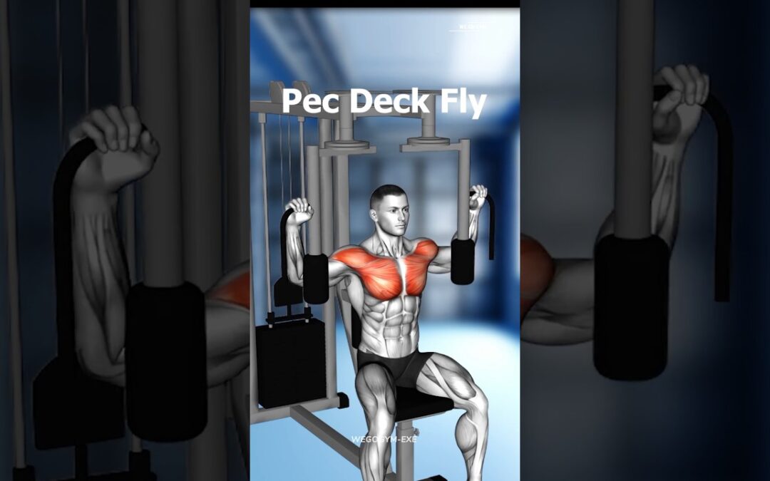 FULL BODY WORKOUT AT GYM – EFFECTIVE EXERCISES ( WE GO GYM )