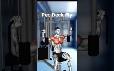 FULL BODY WORKOUT AT GYM – EFFECTIVE EXERCISES ( WE GO GYM )